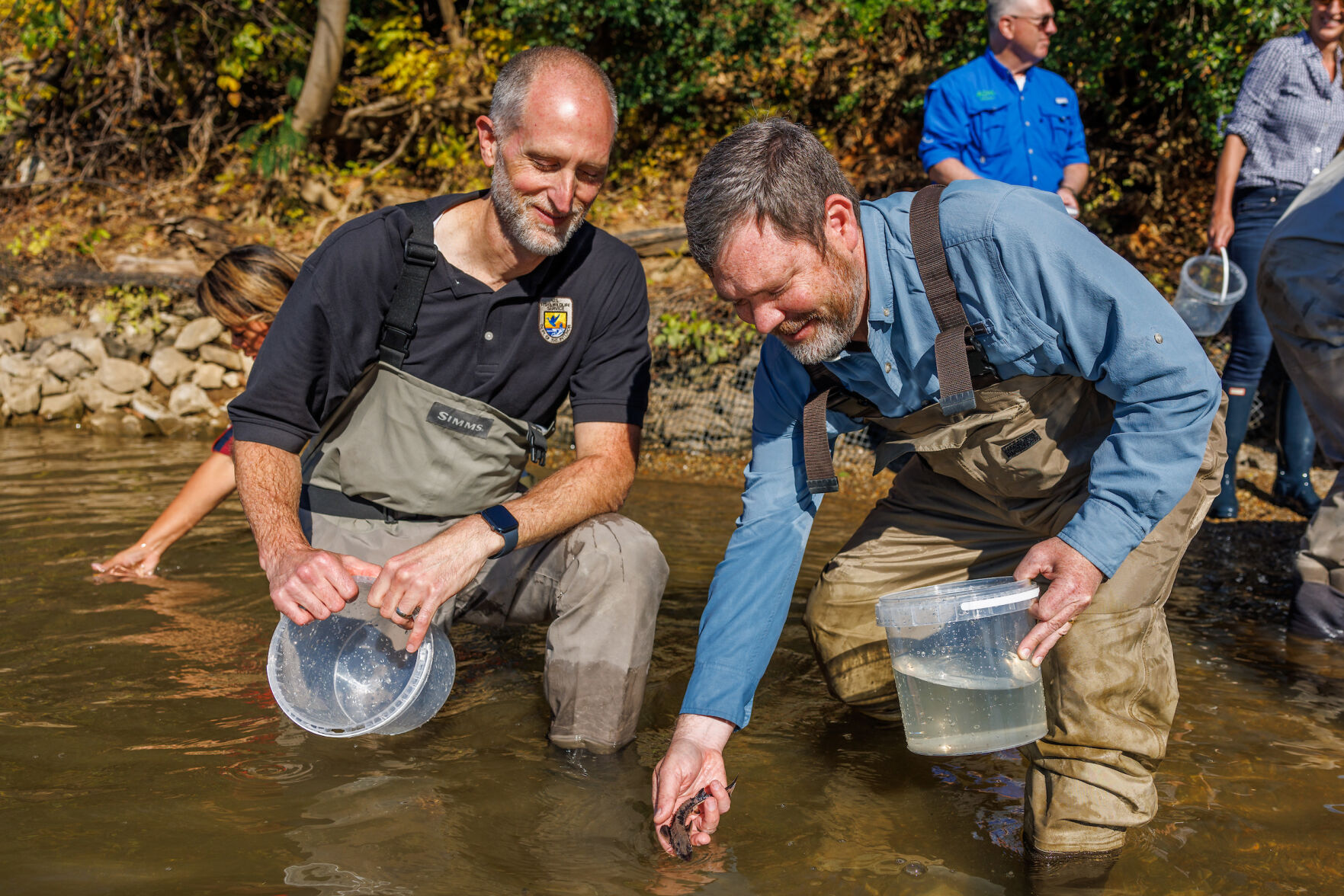 TVA celebrates the release of 200 sturgeon into the Tennessee River